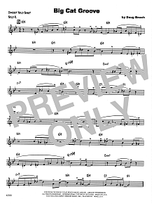 Big Cat Groove - C Solo Sheet 