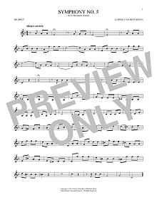 Symphony No. 5 In C Minor, First Movement Excerpt 