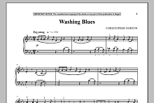 Washing Blues 