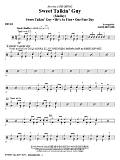 Sweet Talkin' Guy - Music Of The Chiffons (Medley) - Drums