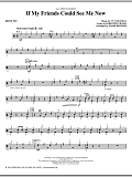If My Friends Could See Me Now (from Sweet Charity) - Drums