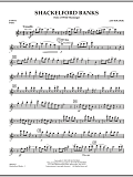Shackelford Banks (Tale of Wild Mustangs) - Pt.1 - Flute