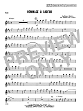 Hommage A Bartok - Flute