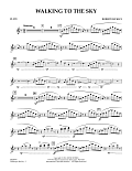 Walking to the Sky - Flute