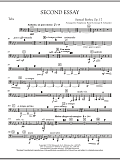 Second Essay - Tuba