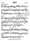 Word - Solo Sheet