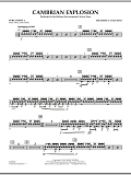 Cambrian Explosion - Percussion 1