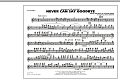 Never Can Say Goodbye - Flute/Piccolo