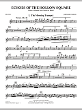 Echoes Of The Hollow Square - Flute 1
