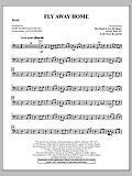 Fly Away Home - Acoustic Bass