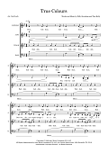 True Colours (arr. Sam Burns)