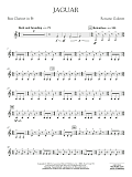 Jaguar - Bb Bass Clarinet