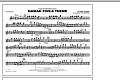 Hawaii Five-O Theme - Flute/Piccolo