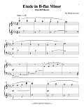 Etude In B-Flat Minor (Snowfall Silence)
