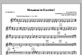 Hosanna in Excelsis! - Bb Trumpet 2