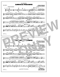 Surface Pressure (from Encanto) (arr. Paul Murtha) - Flute/Piccolo