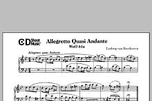 Allegretto Quasi Andante In G Minor, Woo 61a 