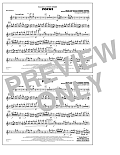 Focus - Flute/Piccolo