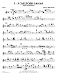 Shackelford Banks - Flute