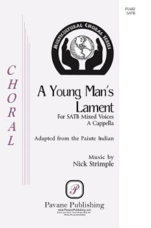 A Young Man's Lament 