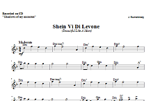 Shein Vi Di Levone 