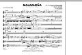 Malaguena - Flute/Picc./Oboe