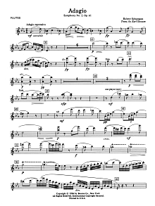 Adagio Symphony No. 2, Op. 61 - Flute 