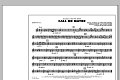 Call Me Maybe - Baritone T.C.