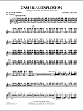 Cambrian Explosion - Mallet Percussion 2