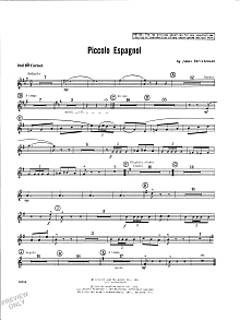 Piccolo Espagnol - Cornet 2 