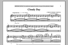 Cloudy Day 