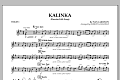 Kalinka - Violin 1