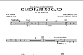 O Mio Babbino Caro - Percussion