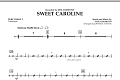 Sweet Caroline - Percussion 2