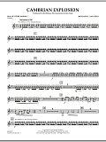 Cambrian Explosion - Mallet Percussion 1