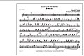 S.O.S. - Flute/Piccolo