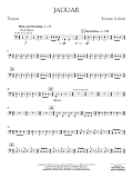 Jaguar - Timpani
