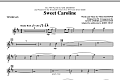 Sweet Caroline - Tenor Sax