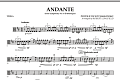 Andante (from Symphony No.6 "Pathetique") - Viola