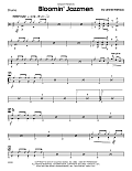 Bloomin' Jazzmen - Drum Set