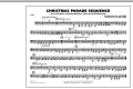 Christmas Parade Sequence - Tuba