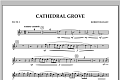 Cathedral Grove - Flute 2