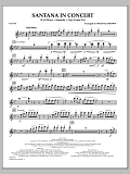 Santana In Concert - Flute