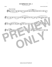 Symphony No. 1 In C Minor, Fourth Movement Excerpt 