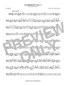 Symphony No. 5 In C Minor, First Movement Excerpt 