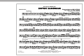 Enter Sandman - Baritone B.C.