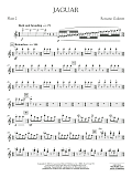 Jaguar - Flute 2