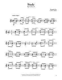 Study Op. 31, No. 20 