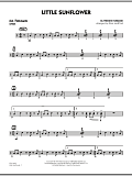 Little Sunflower - Aux Percussion