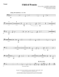 Child of Promise - Timpani